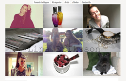 Lina Erikssons blogg