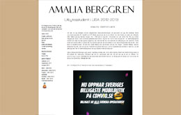 Amalia Berggrens blogg