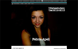 Felicia Apells blogg