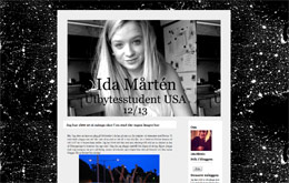 Ida Mårtèns blogg