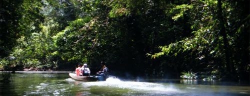 Borneo