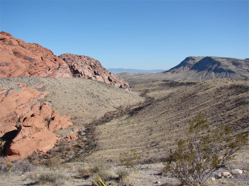 Öken i Nevada