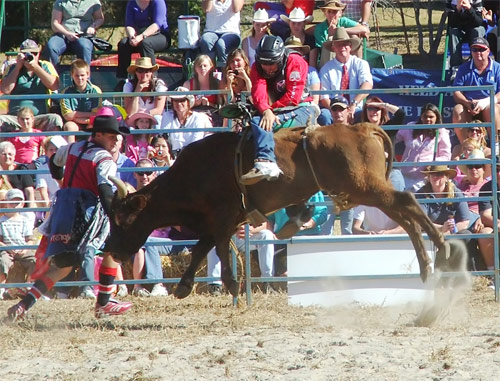 Rodeo i South Dakota