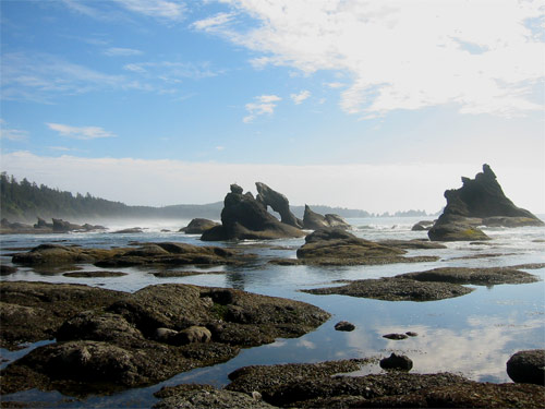 Shi Shi Beach i Washington